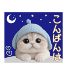 スコティッシュ猫 可愛い水色帽 優しい日常（個別スタンプ：3）