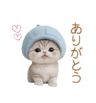 スコティッシュ猫 可愛い水色帽 優しい日常（個別スタンプ：6）