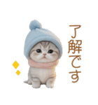 スコティッシュ猫 可愛い水色帽 優しい日常（個別スタンプ：10）