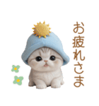 スコティッシュ猫 可愛い水色帽 優しい日常（個別スタンプ：11）
