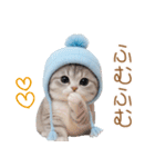 スコティッシュ猫 可愛い水色帽 優しい日常（個別スタンプ：14）
