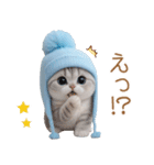 スコティッシュ猫 可愛い水色帽 優しい日常（個別スタンプ：15）