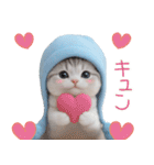 スコティッシュ猫 可愛い水色帽 優しい日常（個別スタンプ：23）