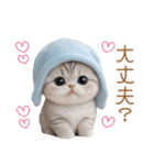 スコティッシュ猫 可愛い水色帽 優しい日常（個別スタンプ：24）