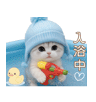 スコティッシュ猫 可愛い水色帽 優しい日常（個別スタンプ：28）