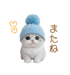 スコティッシュ猫 可愛い水色帽 優しい日常（個別スタンプ：30）