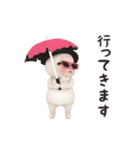 【夏】ネコタオル【毎年使える】（個別スタンプ：11）