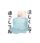 【夏】ネコタオル【毎年使える】（個別スタンプ：15）