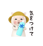 【夏】ネコタオル【毎年使える】（個別スタンプ：16）