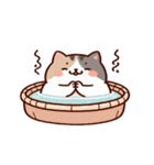 お風呂猫 お願い お願い,（個別スタンプ：5）