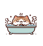 お風呂猫 お願い お願い,（個別スタンプ：19）