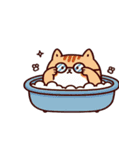 お風呂猫 すぐ行くよ,（個別スタンプ：15）