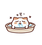 お風呂猫 朝ごはん中,（個別スタンプ：22）