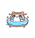 お風呂猫 泣きたいよ〜,（個別スタンプ：14）