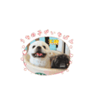 タッコジャムジュリ（個別スタンプ：3）