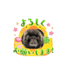 タッコジャムジュリ（個別スタンプ：4）