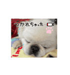 タッコジャムジュリ（個別スタンプ：5）