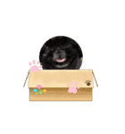 タッコジャムジュリ（個別スタンプ：8）