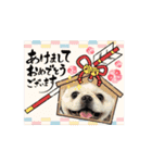タッコジャムジュリ（個別スタンプ：9）