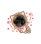 タッコジャムジュリ（個別スタンプ：10）