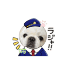タッコジャムジュリ（個別スタンプ：11）