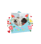タッコジャムジュリ（個別スタンプ：14）
