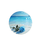 美しい薔薇と海.Roses and the Sea（個別スタンプ：6）