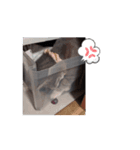 マロンの日常 11.10（個別スタンプ：9）