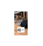 マロンの日常 11.10（個別スタンプ：14）
