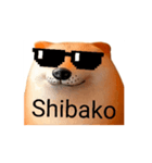 Shibako！（個別スタンプ：3）