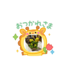 笑う猫シャワー（個別スタンプ：8）