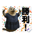 怠惰でたまに活動するノザラ氏4（個別スタンプ：2）