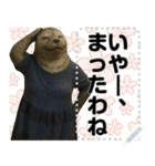 怠惰でたまに活動するノザラ氏4（個別スタンプ：4）