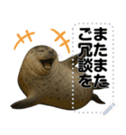 怠惰でたまに活動するノザラ氏4（個別スタンプ：10）