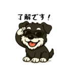 夏休みを満喫するシュナウザー（個別スタンプ：3）