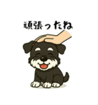 夏休みを満喫するシュナウザー（個別スタンプ：27）
