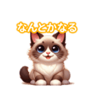 とにかくかわいい バリニーズ（個別スタンプ：16）