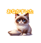 とにかくかわいい バリニーズ（個別スタンプ：18）