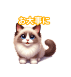 とにかくかわいい バリニーズ（個別スタンプ：24）