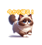 とにかくかわいい バリニーズ（個別スタンプ：36）