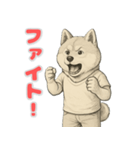 秋田犬の喜怒哀楽スタンプ2（個別スタンプ：12）