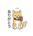名前入り赤しば（個別スタンプ：1）