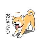 名前入り赤しば（個別スタンプ：2）