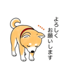 名前入り赤しば（個別スタンプ：4）