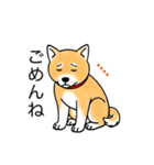 名前入り赤しば（個別スタンプ：5）