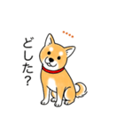 名前入り赤しば（個別スタンプ：9）
