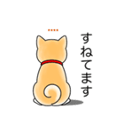 名前入り赤しば（個別スタンプ：11）