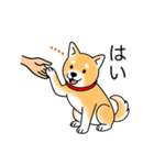 名前入り赤しば（個別スタンプ：12）