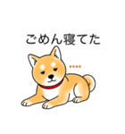 名前入り赤しば（個別スタンプ：15）