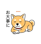 名前入り赤しば（個別スタンプ：16）